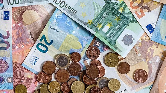 Helfen Sie mit! - Baumschutzprojekt